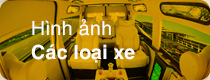 anh cac loai xe HTH, anh xe HTH